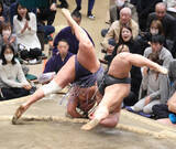 「【８日目の見どころ】６年ぶりの天覧相撲　結びは横綱・大の里に好調・伯乃富士が挑む」の画像1