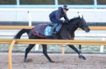 【プロキオンＳ】６度目の重賞挑戦で待望の初制覇狙うロードクロンヌは７枠１３番　サイモンザナドゥは１枠２番