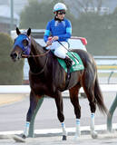 「【根岸Ｓ】戸崎圭太騎手のウェイワードアクトは７着　重賞初挑戦Ｖならず戸崎圭太騎手「原因が分かりません」」の画像1