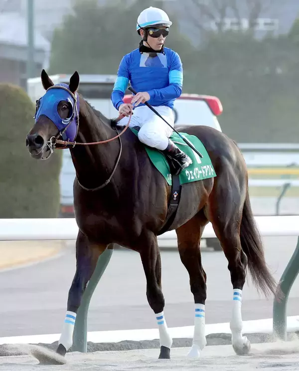 【根岸Ｓ】戸崎圭太騎手のウェイワードアクトは７着　重賞初挑戦Ｖならず戸崎圭太騎手「原因が分かりません」