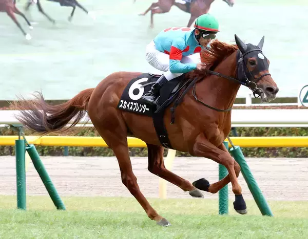 【東京９Ｒ・ゆりかもめ賞】超スロの流れを絶妙に立ち回ったスカイスプレンダーⅤ　戸崎圭太騎手「脚取りはしっかり」