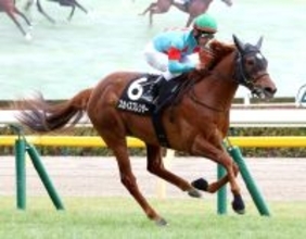 【東京９Ｒ・ゆりかもめ賞】超スロの流れを絶妙に立ち回ったスカイスプレンダーⅤ　戸崎圭太騎手「脚取りはしっかり」