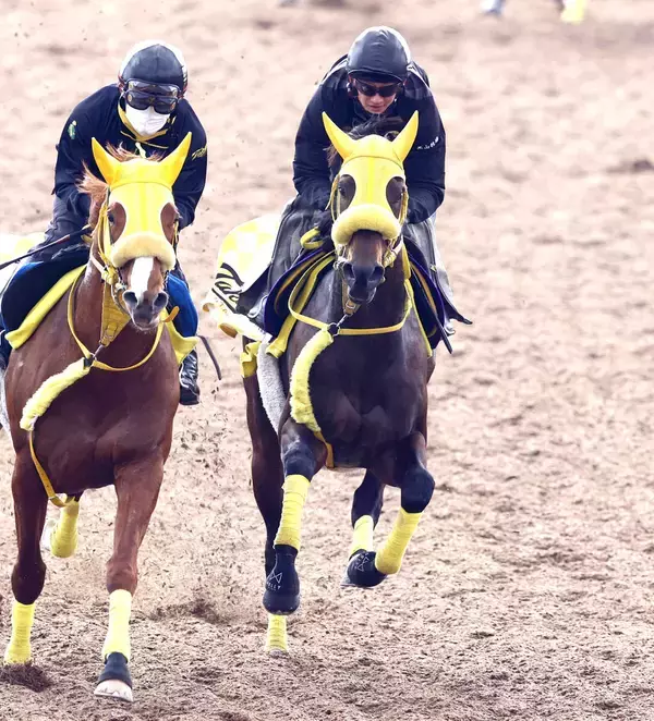 【フェブラリーＳ】ウィルソンテソーロは併走遅れも好調維持　高木調教師「折り合いもついて良い追い切り」