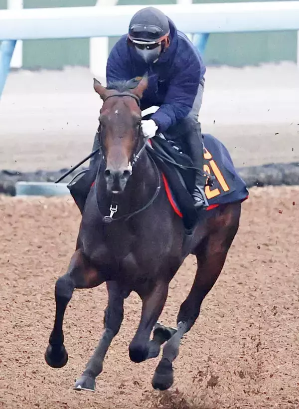 【注目馬動向】東京スポーツ杯２歳Ｓの覇者パントルナイーフは皐月賞トライアルを視野