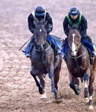 「【オーシャンＳ】インビンシブルパパが好気配　伊藤大調教師「半年遅れの馬。トモがだいぶしっかり」」の画像1