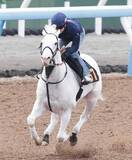 「馬トクスタッフが選ぶ日曜の買うべき３頭　中山１０Ｒは長期休養明けでも侮れない実績馬に注意したい」の画像1