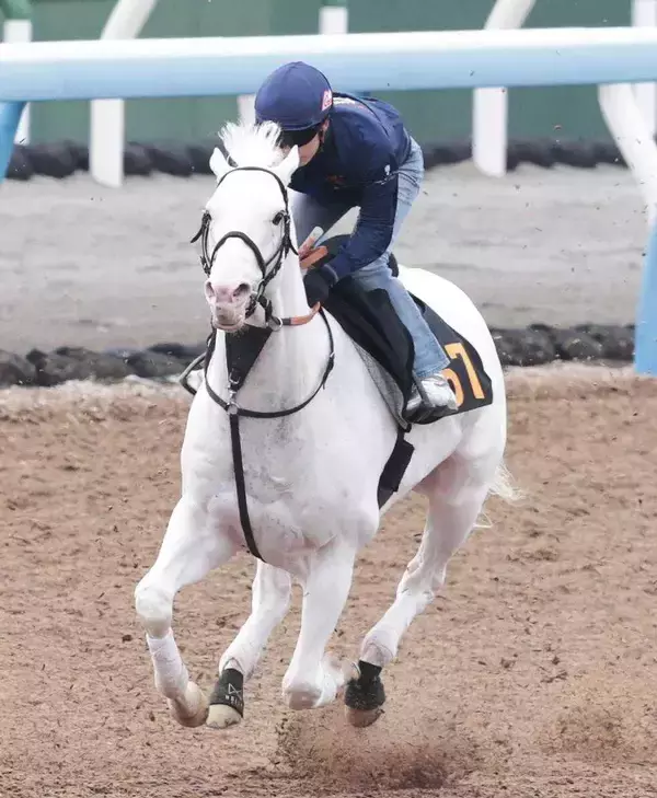 馬トクスタッフが選ぶ日曜の買うべき３頭　中山１０Ｒは長期休養明けでも侮れない実績馬に注意したい