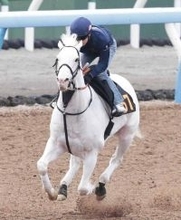 馬トクスタッフが選ぶ日曜の買うべき３頭　中山１０Ｒは長期休養明けでも侮れない実績馬に注意したい