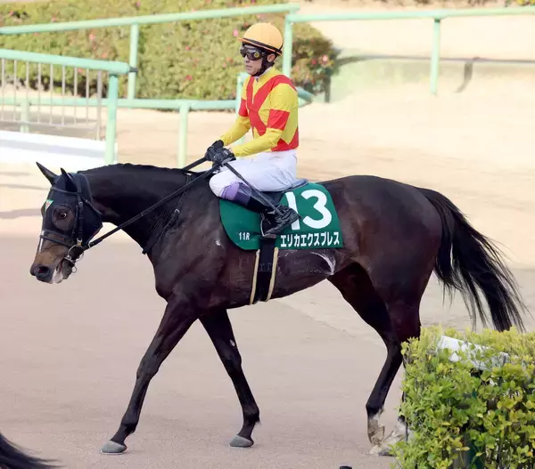 【中山牝馬Ｓ】エリカエクスプレスは最後の最後に力尽き４着　武豊騎手「もう一伸びできそうでできなかった」