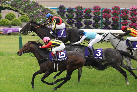 【天皇賞・春】推定２センチ差で「最強」守った！クロワデュノールがレース史上６組目の父子制覇