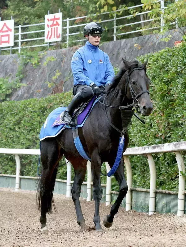 【チャンピオンズ＆チャーターＣ】海外重賞連勝狙うディープモンスター国内最終追い切りで抜群の動き　池江調教師「動きも反応もよかった」