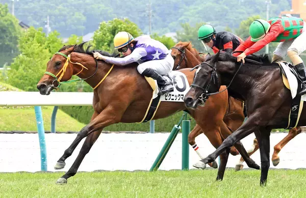 【福島６Ｒ・２歳新馬】ピクニックマーチが初陣Ｖ　木幡初也騎手は弟・巧也騎手と鼻差の大接戦で“兄弟ワンツー”
