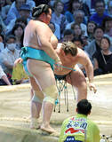 「関脇・安青錦が４勝目　カド番の琴桜との大関の立場を懸けた者同士の一番には「今場所は大関ではない。また大関同士でできれば」」の画像1