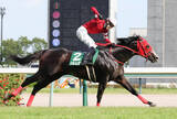 「【ＣＢＣ賞】１５年目中井裕二騎手、１２番人気フロムダスクで涙のＪＲＡ重賞初制覇「やっと勝てた」」の画像1
