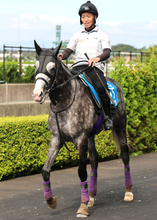 【注目馬動向】アドマイヤテラは凱旋門賞へ向け９月６日に出国　友道調教師「レース後も問題はありません」