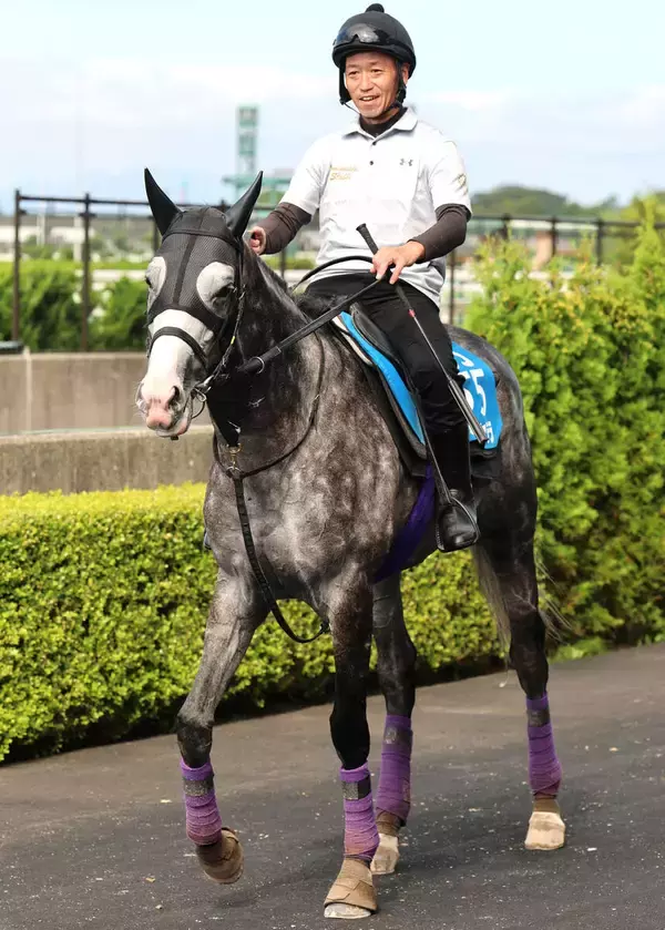 【注目馬動向】アドマイヤテラは凱旋門賞へ向け９月６日に出国　友道調教師「レース後も問題はありません」