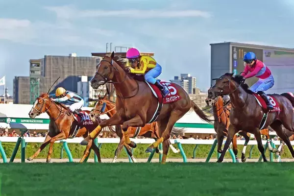サマー２０００シリーズ優勝は該当馬なし　最近１０年で５度目の王者不在　新潟記念に逆転の可能性ある馬の登録なし
