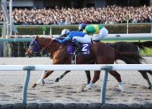 【チャンピオンズＣ・記録メモ２】今年のダート重賞では１番人気馬が苦戦　１３競走で勝ったのは１頭のみ・・・　