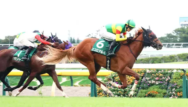 【朝日杯ＦＳ・超ブル診断ステップレース編】いずれも高レベルな重賞３レース　末脚光る一頭が個別評価最高「Ｇ」