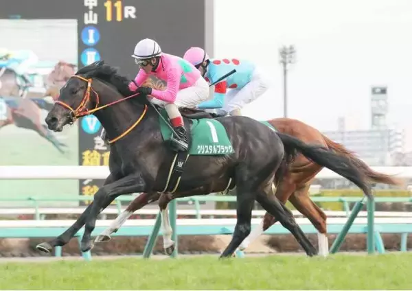 【コラム継承・クリスタルブラック】８歳までもうひと花咲かすと戦い続けた人馬　競馬記者としての第一歩となった２０年京成杯