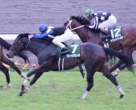 【競走伝】スゴすぎッ！４歳９月デビュー「個性派」が強豪牡馬を撃破…豪快追い込み伝説の始まり　００年シルクロードＳ