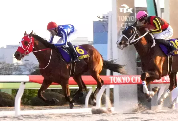 【注目馬動向】雲取賞勝ちのリアライズグリントは国内専念で羽田盃へ　アンジュプロミスは葵Ｓが目標