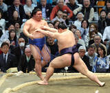 「義ノ富士、新鋭対決に完勝　星を五分に戻して後半戦へ「今日みたいな相撲を取っていきたい」」の画像1