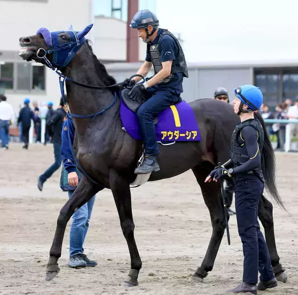 【日本ダービー・土曜気配】スプリングＳから直行のアウダーシアは精神面に進境　手塚久師「落ち着きが出てきた」