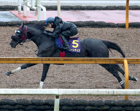 【宝塚記念・１週前】ジューンテイクがダービージョッキー松山弘平騎手と初コンタクト　「自分のペースで走らせた方が持ち味が生きる」