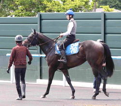 土曜函館競馬場の注目激走馬…函館１１Ｒ函館スプリントステークス・Ｇ３