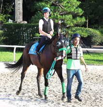 【関屋記念】エルトンバローズが夏のマイル王者へ　しらさぎＳに続く重賞連勝、４勝目を狙う