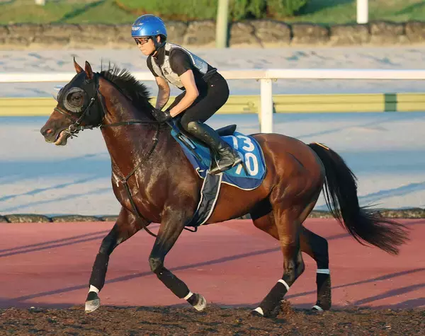 【ＣＢＣ賞】名門牝系の血が覚醒だ！ディアナザール上昇カーブ　斉藤崇調教師「本当にいい状態」
