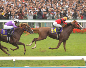 ０８年菊花賞馬オウケンブルースリが天国へ　「肺炎による呼吸不全で息を引き取りました」けい養先が発表