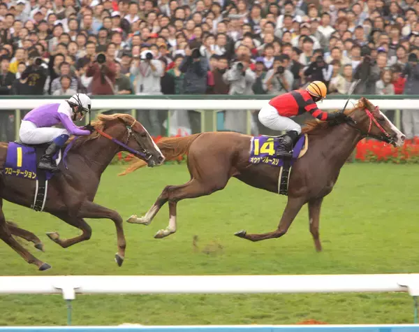 ０８年菊花賞馬オウケンブルースリが天国へ　「肺炎による呼吸不全で息を引き取りました」けい養先が発表