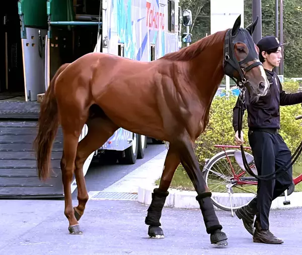 【注目馬動向】福永厩舎に初のＧ１級勝利運んだメイショウハチローはＪＢＣスプリントに転戦へ