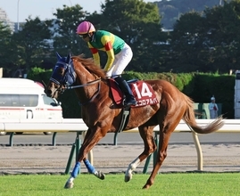 【富士Ｓ・各陣営コメント】大外枠から３着エコロアルバ　坂井瑠星騎手が「今までにないくらい」と評価したポイント