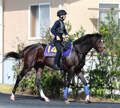 【菊花賞】４連覇を狙うルメール騎手と初コンビのダノンヒストリーは５枠１０番　堀調教師「全く問題のない状態です」