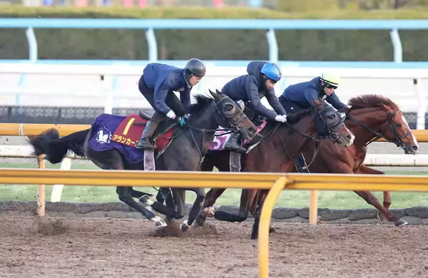 【阪神ＪＦ】アランカールは馬なりで状態万全　斉藤崇調教師「動きも問題ないかなと思います」