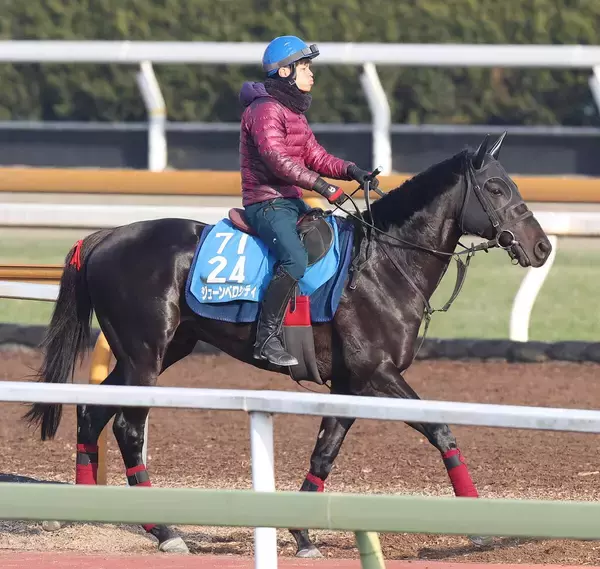 【中山大障害】ジューンベロシティがＣＷコースで好仕上がりをアピール　高田潤騎手「仕上がりに関しては申し分ない」