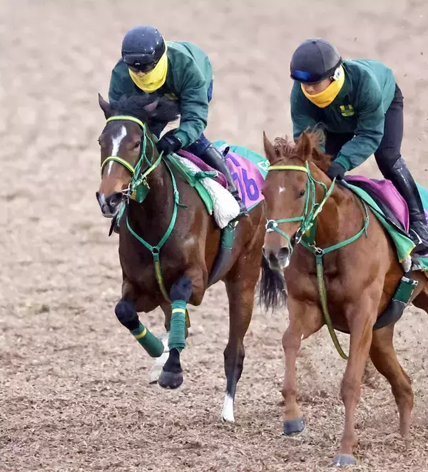 【フェアリーＳ】１戦１勝ファンクションが軽快に併入　斎藤誠調教師「前走よりも前向きさが出てきた」