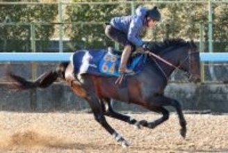 【根岸Ｓ・浅子が見た】ウェイワードアクトは理想的な首の使い方、力強くかき込むフォームに重厚感　地味な時計には納得の理由