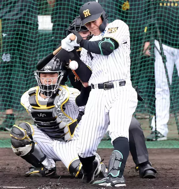 【阪神】豊田寛が「右手首の骨折」で無念の帰阪…７日のシート打撃で死球