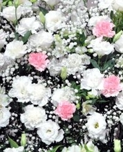 漫画家の吾嬬竜孝さん、昨年９月に急死していた…連載誌が公式Ｘで報告「『ダッフルコートアーミー』第１９話執筆中の急な訃報に…」