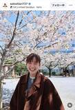 「佐藤栞里、桜の下で満開の笑顔！「儚くて、可愛くて、気持ちが良いね」」の画像1