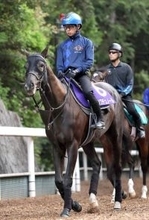 【天皇賞・春】前日最終オッズ発表！馬券の売れ方は「３強」の様相もダービー馬クロワデュノールが１・８倍の１番人気　