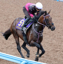 【安田記念・金曜気配】内枠希望もかなわず　シリウスコルトは６枠１２番　田中勝調教師「内に越したことはなかったけど…」