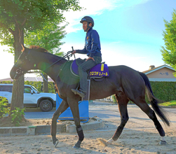 【宝塚記念】春古馬３冠を目指すクロワデュノールは３枠５番　連覇がかかる武豊騎手メイショウタバルは８枠１６番に決定