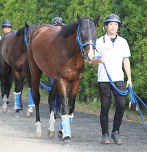 【小倉記念・金曜気配】寺島調教師「体力勝負の方がいい」重賞初制覇狙うウエストナウは消耗戦を希望