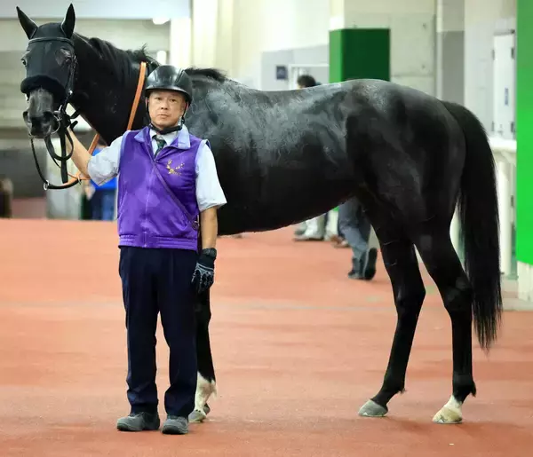 【注目馬動向】連勝中のラベルセーヌは荻野極騎手とコンビで秋華賞が目標　サンデーサラブレッドクラブが発表
