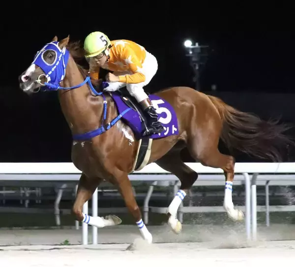 【ゴールド争覇・名古屋】シャマルを撃破！　ベントが重賞３連勝　今井貴大騎手「この馬はまだまだ強くなる」